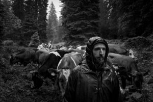 Montier Photo Festival
