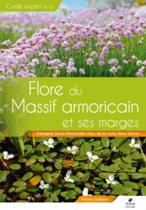 Montier Photo Festival
