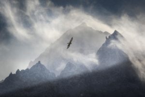 Montier Photo Festival