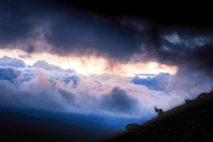 Montier Photo Festival