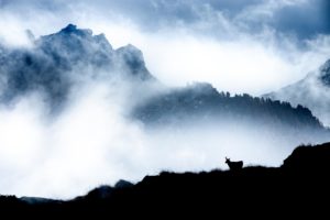 Montier Photo Festival