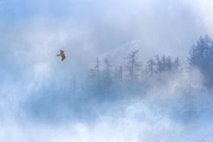 Montier Photo Festival