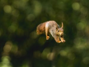 Montier Photo Festival