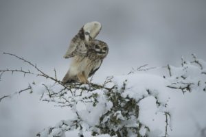 Montier Photo Festival