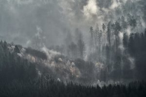 Montier Photo Festival