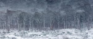 Montier Photo Festival