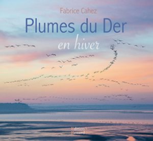 Montier Photo Festival