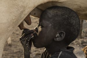 Montier Photo Festival