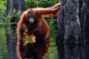 Montier Photo Festival