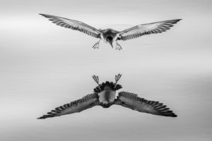 Montier Photo Festival