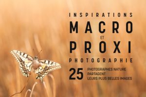 622_logo-image-inspirations-pour-montier.jpg -