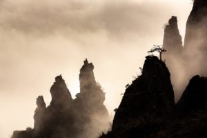 Montier Photo Festival