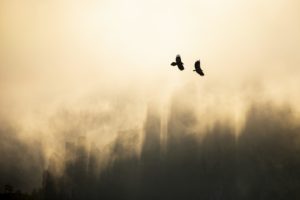 Montier Photo Festival