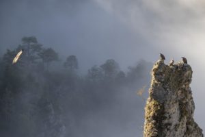 Montier Photo Festival