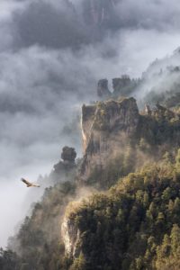Montier Photo Festival