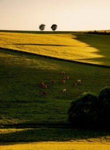 Montier Photo Festival
