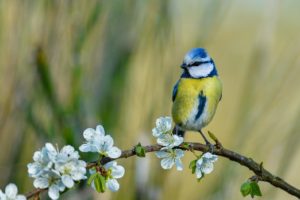 846_wilipi.jpg -