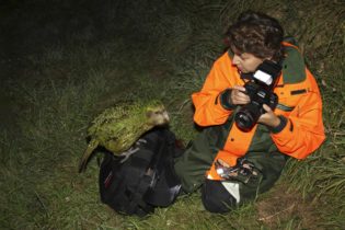 Sabine et Sirocco le Kakapo Ambassadeur - Ros Cole