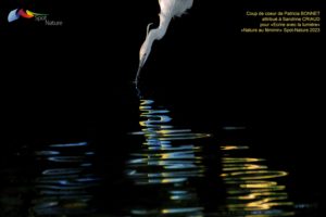 Montier Photo Festival
