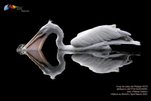 Montier Photo Festival
