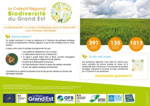 Collectif régional Biodiversité - Collectif régional Biodiversité / DREAL Grand Est, 2023
