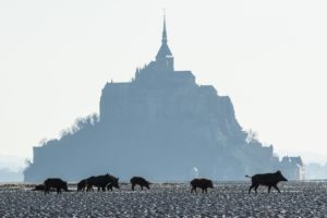 Montier Photo Festival