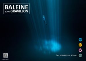 Affiche générale de Baleine sous Gravillon - Baleine sous Gravillon