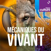 Vignette de Mécaniques du Vivant - Radio France