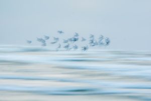 Montier Photo Festival