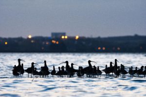 Montier Photo Festival