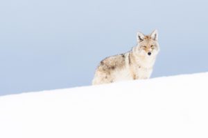 Montier Photo Festival