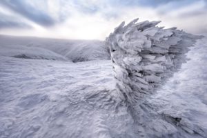 PLUMES DE GIVRE - @christiandelastrephotographie
