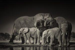 Montier Photo Festival