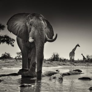 Montier Photo Festival
