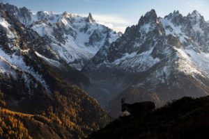 Montier Photo Festival