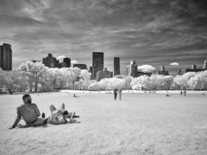 Central park - Hermine Lecucq Jouan