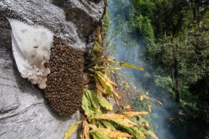 Montier Photo Festival