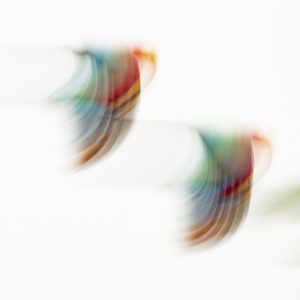 Montier Photo Festival