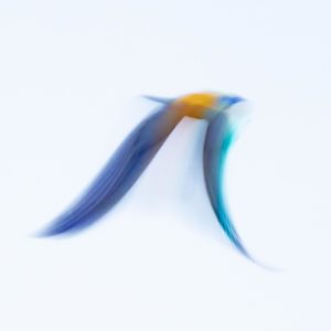 Montier Photo Festival