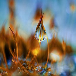 Montier Photo Festival