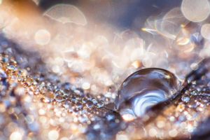 Montier Photo Festival