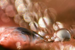 Montier Photo Festival