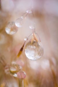 Montier Photo Festival