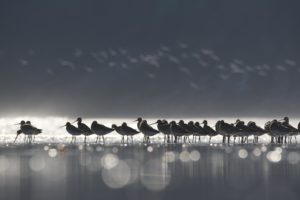 Montier Photo Festival