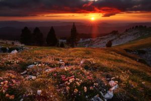 Montier Photo Festival