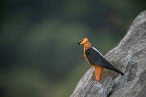 Montier Photo Festival