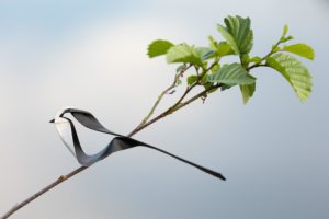 Montier Photo Festival