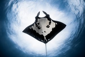 Montier Photo Festival
