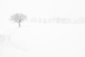 Montier Photo Festival