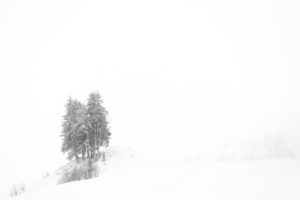 Montier Photo Festival